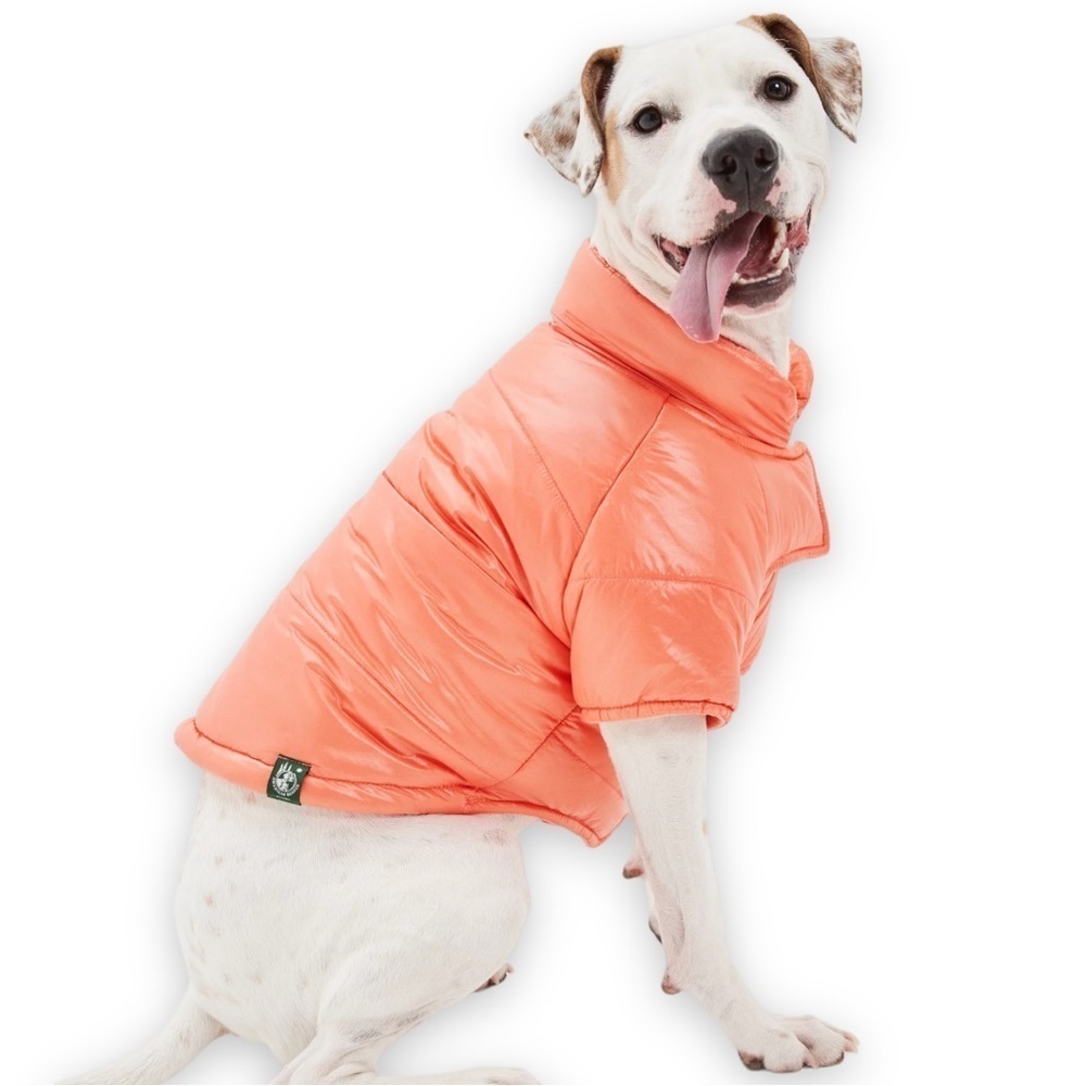 🔶SOLD🔶ABO Dog Puffer Coat 🩵🎉🐶Host Pick🩷🌟🥰XS, SM, Med